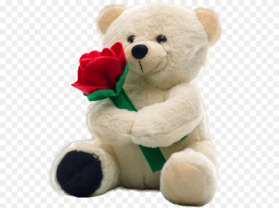 Osito De Peluche Con Rosas Valentine Week Teddy Day, Teddy Bear, Toy, Flower, Plant Free Png