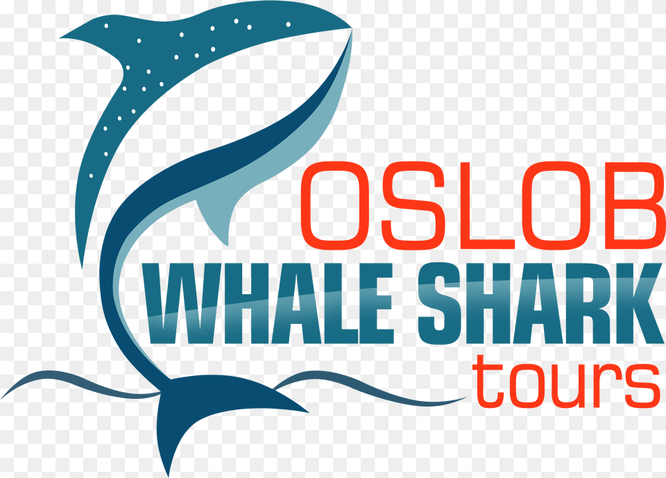 Oslob Whale Shark Tours Graphic Design, Animal, Dolphin, Mammal, Sea Life Png Image