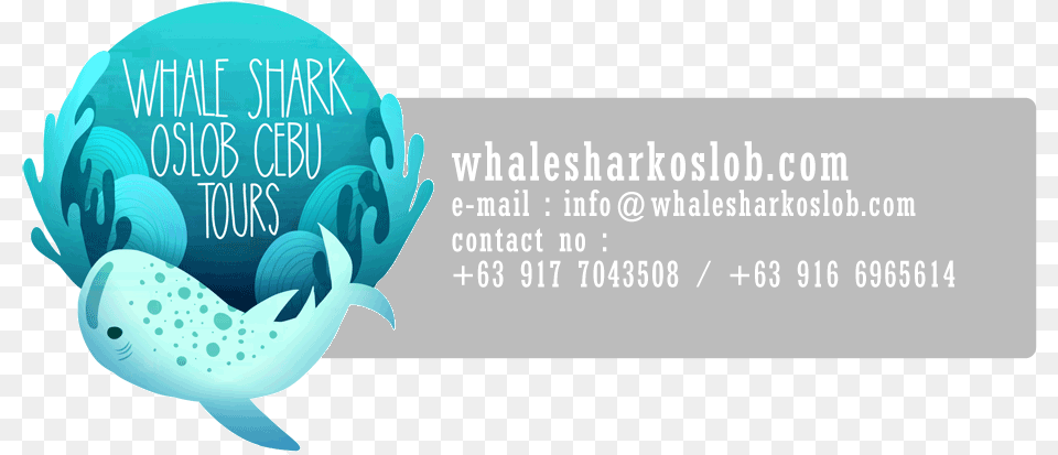 Oslob Whale Shark Tumalog Falls Sumilon Island Graphic Design, Water Sports, Water, Swimming, Sport Free Png