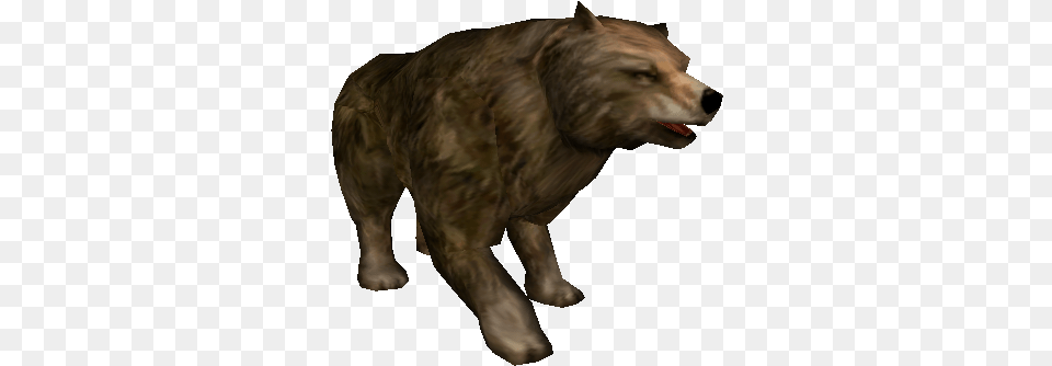 Oso Metin2 Bear, Animal, Mammal, Wolf, Canine Png