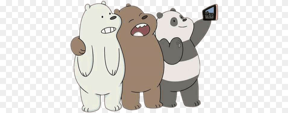 Oso Panda Oso Pardo Y Oso Polar, Animal, Bear, Mammal, Wildlife Png
