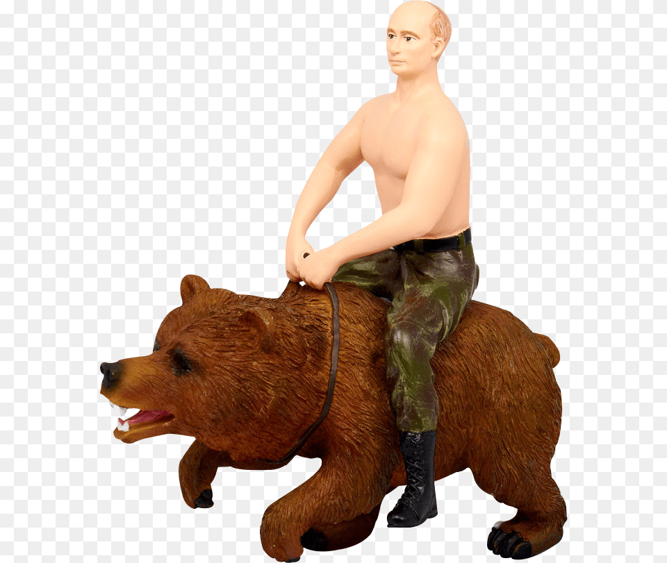 Oso Putin 2 Grizzly Bear, Adult, Person, Man, Male Free Png Download