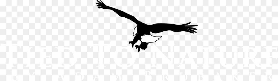 Osprey, Text, Animal, Mammal Free Transparent Png