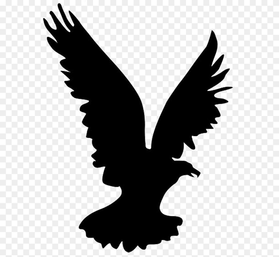 Osprey Clipart Flying Hawk, Silhouette, Person, Animal, Bird Png Image
