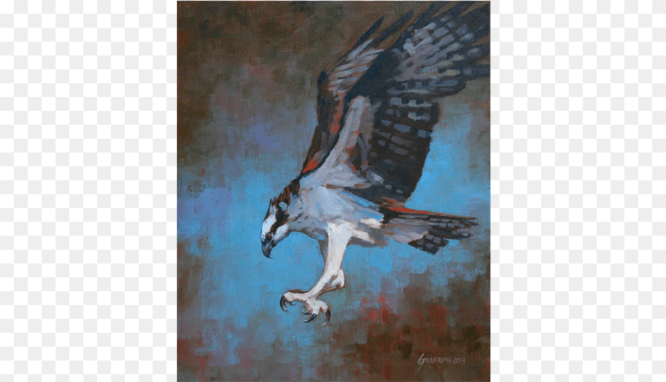 Osprey Painting, Animal, Beak, Bird, Art Free Transparent Png