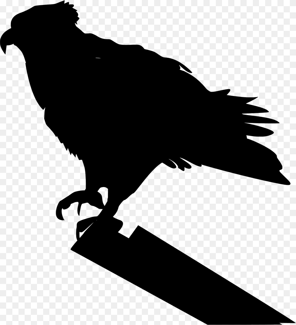 Osprey Silhouette, Animal, Bird, Blackbird, Vulture Png Image