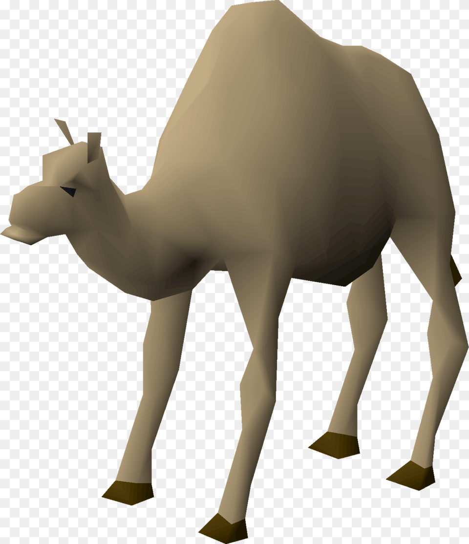 Osrs Camel, Animal, Mammal, Person Free Png