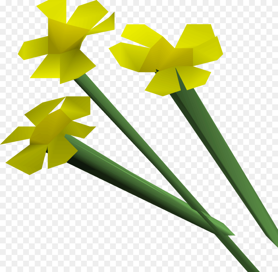 Osrs Flowers, Daffodil, Flower, Plant Free Transparent Png