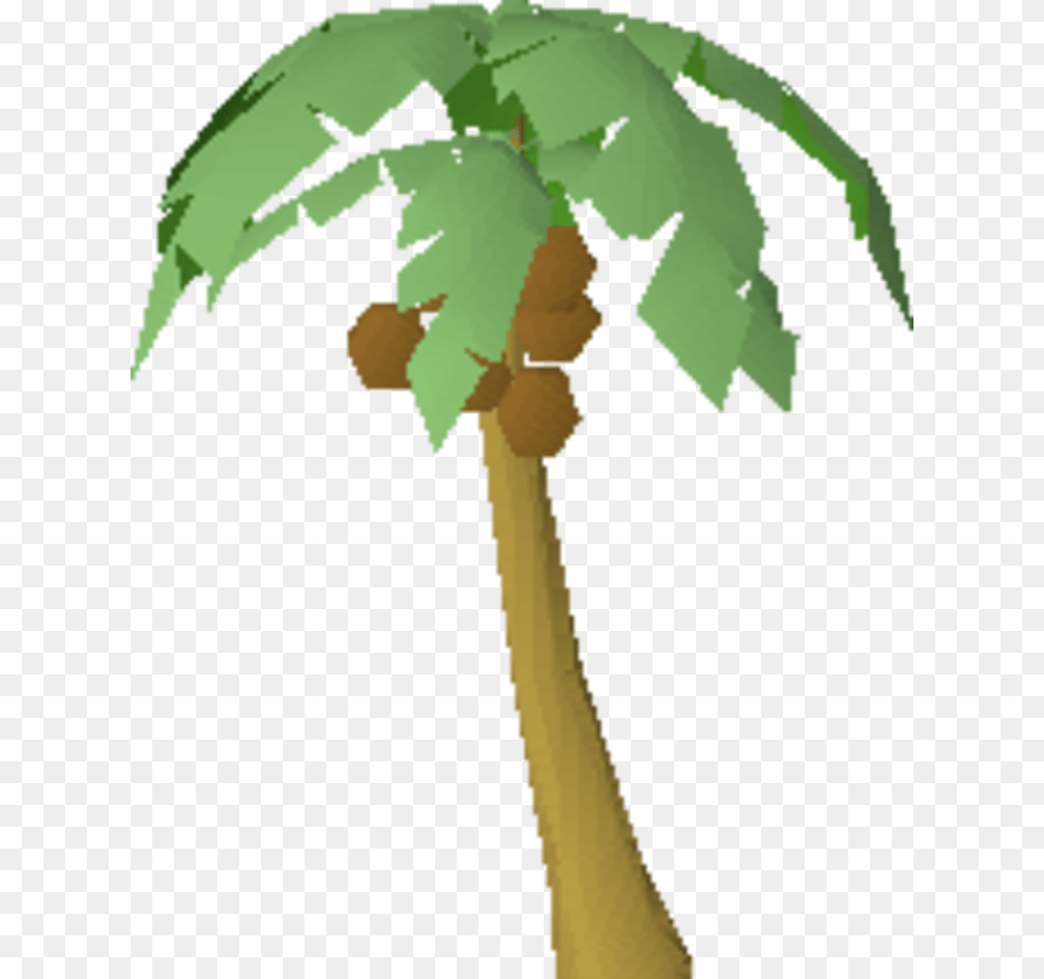 Osrs Palm Tree, Leaf, Plant, Oak, Sycamore Free Png