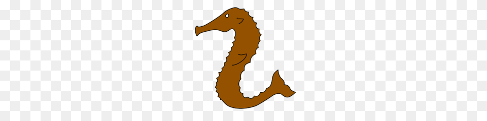 Ostgardr Seahorse, Baby, Person, Animal, Sea Life Free Png Download