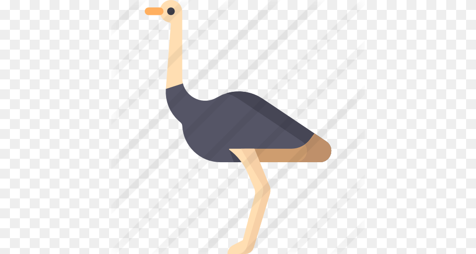 Ostrich, Animal, Bird, Smoke Pipe Png