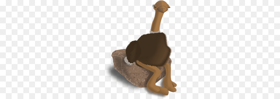 Ostrich Animal, Bird, Smoke Pipe Free Png