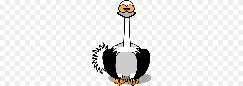 Ostrich Animal, Bird Free Transparent Png