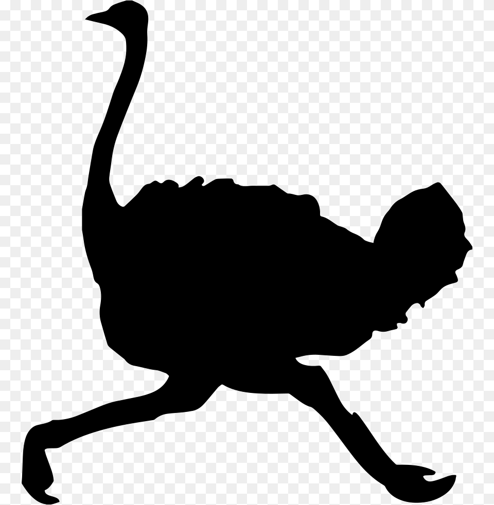 Ostrich, Silhouette, Animal, Bird, Person Free Png