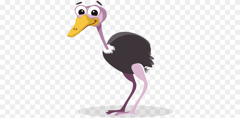 Ostrich, Animal, Beak, Bird, Person Png Image
