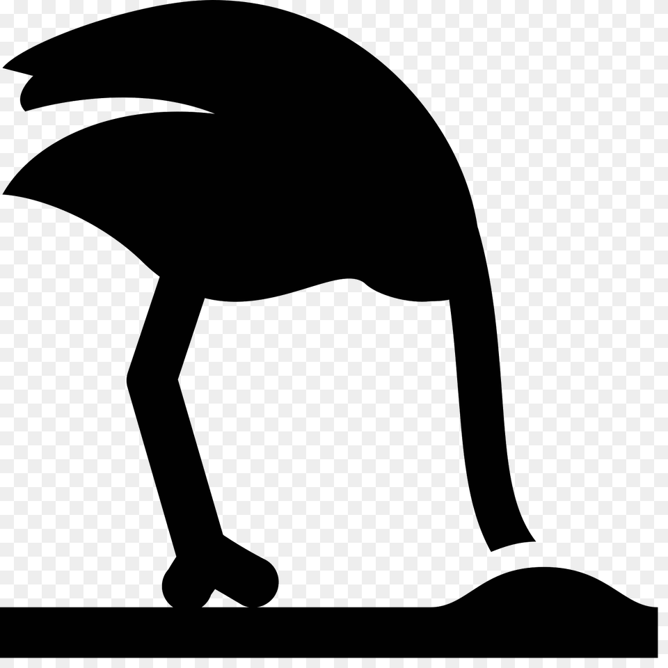 Ostrich, Gray Free Png