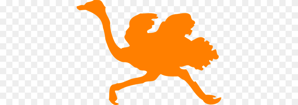 Ostrich Person, Animal Free Transparent Png