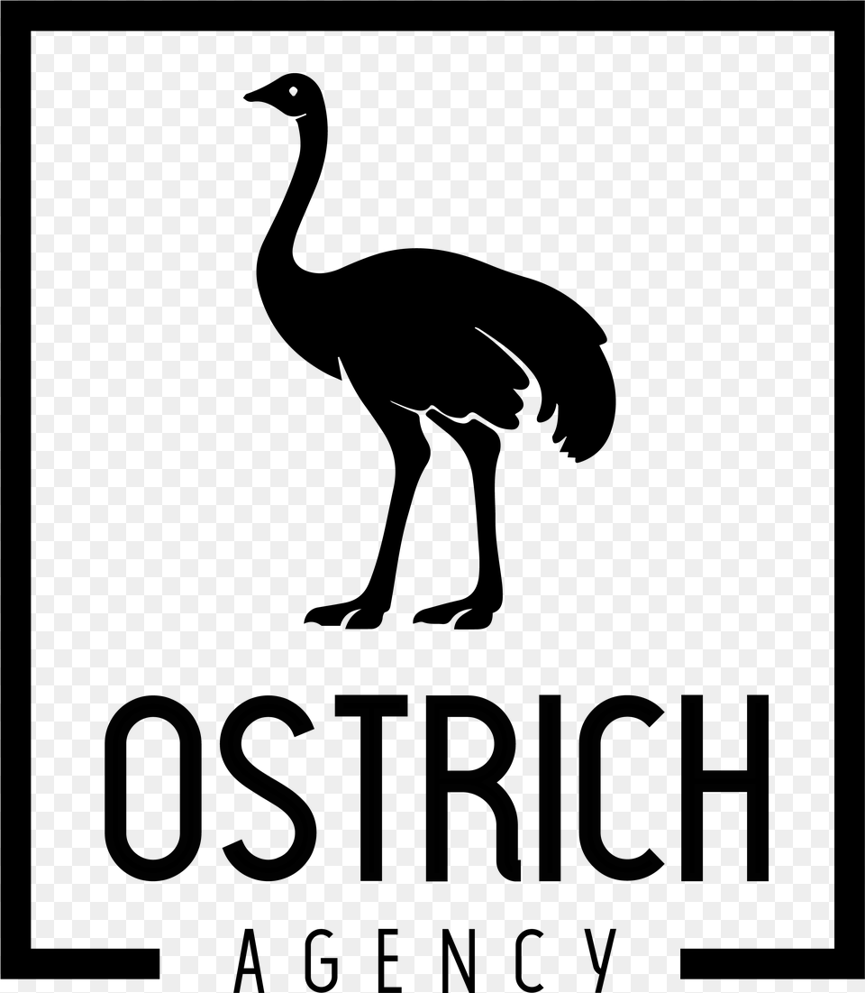 Ostrich Agency Flightless Bird, Lighting Free Transparent Png