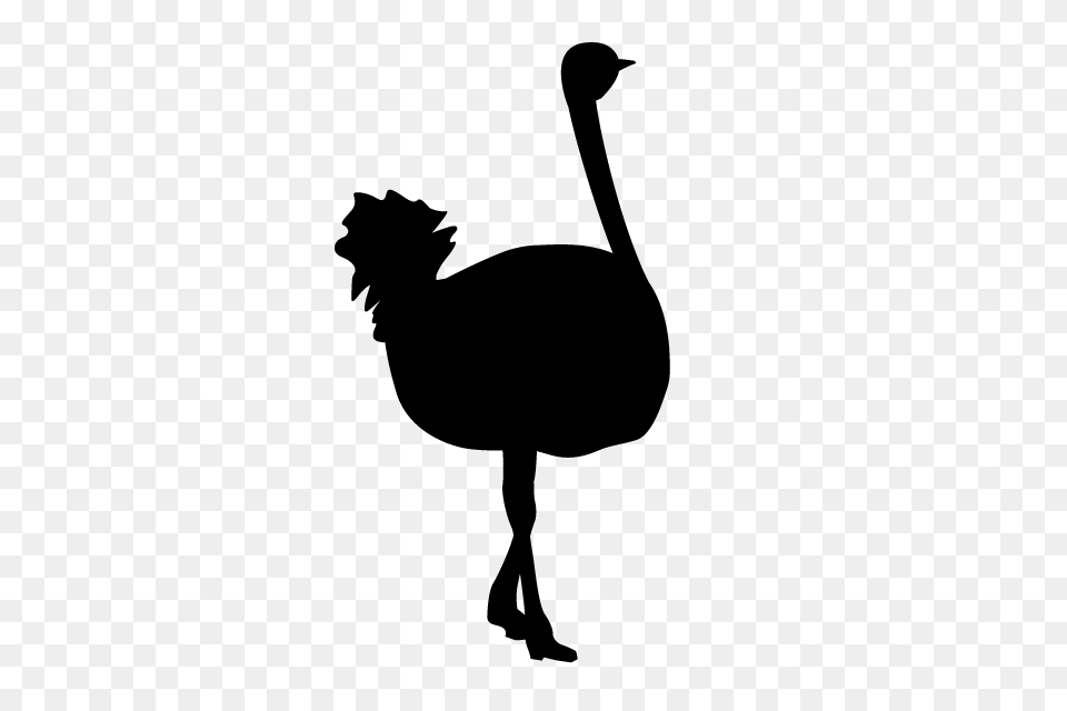 Ostrich Animal Silhouette Illustrations, Gray Png Image