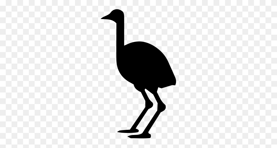 Ostrich Animals Bird Icon With And Vector Format For, Gray Png