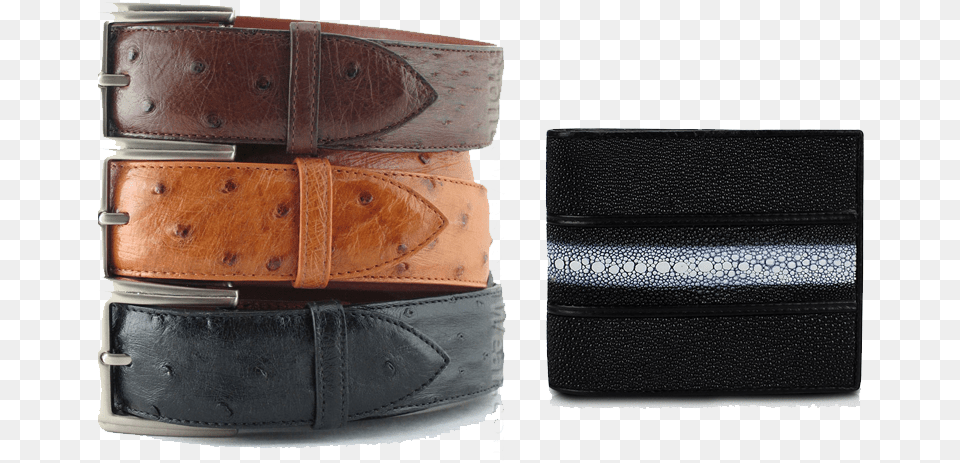 Ostrich Belt, Accessories, Electronics, Speaker, Buckle Free Png