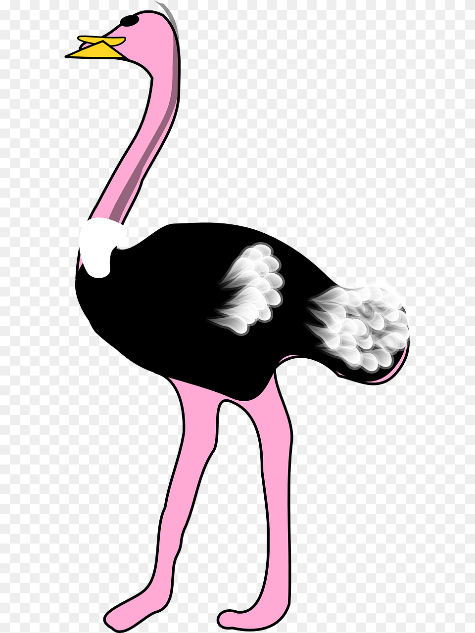 Ostrich Bird Animal Vector Graphic On Pixabay Ostrich Clipart Clker, Person, Beak Free Png