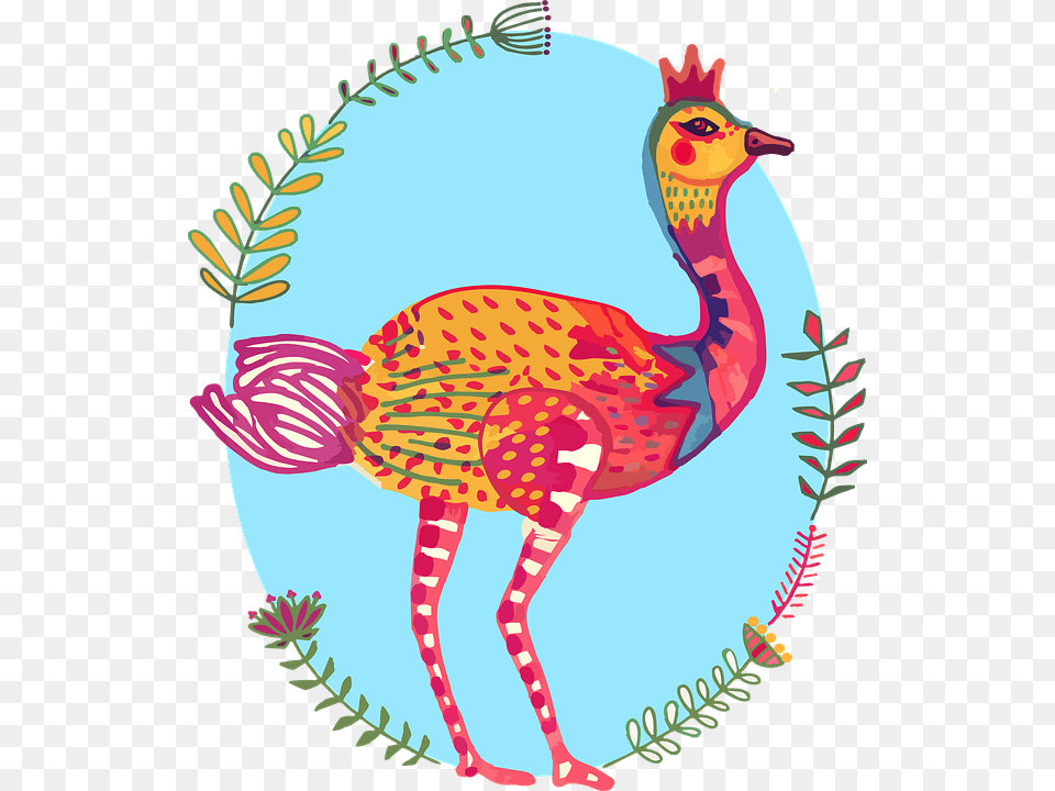 Ostrich Bird Colourful South Africa Cartoon, Animal Free Png