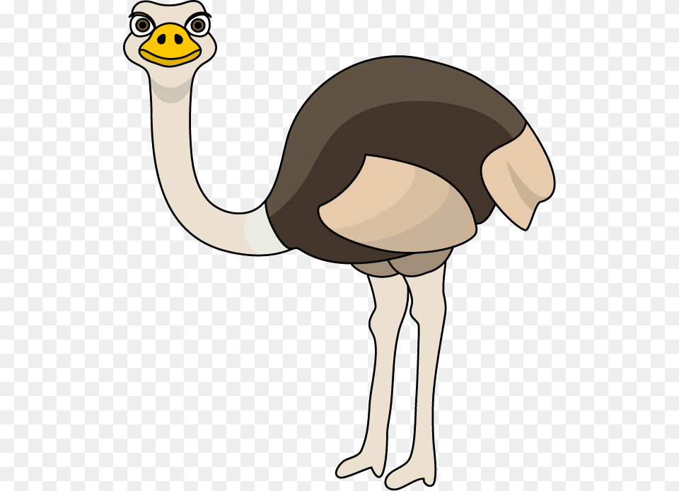 Ostrich Birthday Cliparts, Animal, Bird, Person Free Png