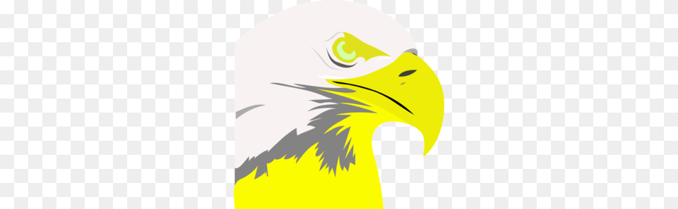 Ostrich Clip Art, Animal, Beak, Bird, Eagle Png Image