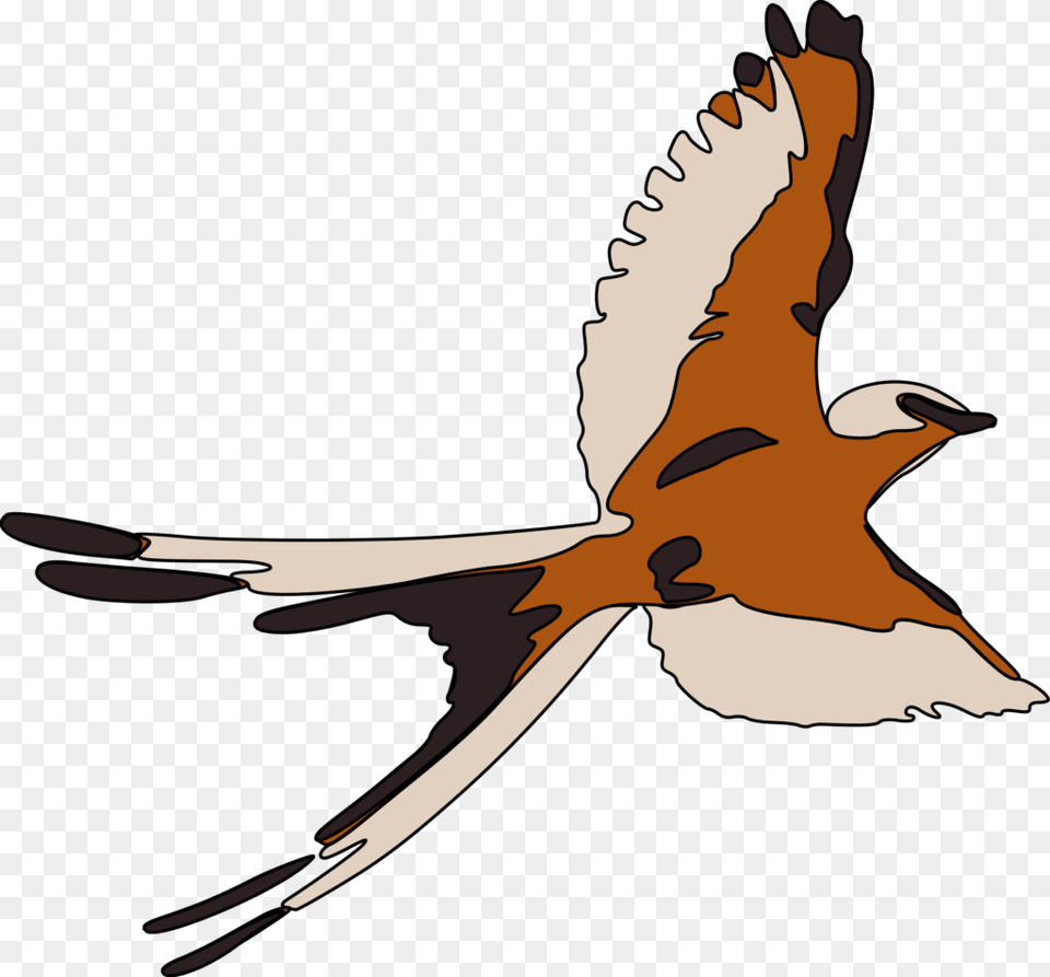 Ostrich Clip Art Gambar Burung Terbang, Animal, Bird, Flying, Kite Bird Free Png Download