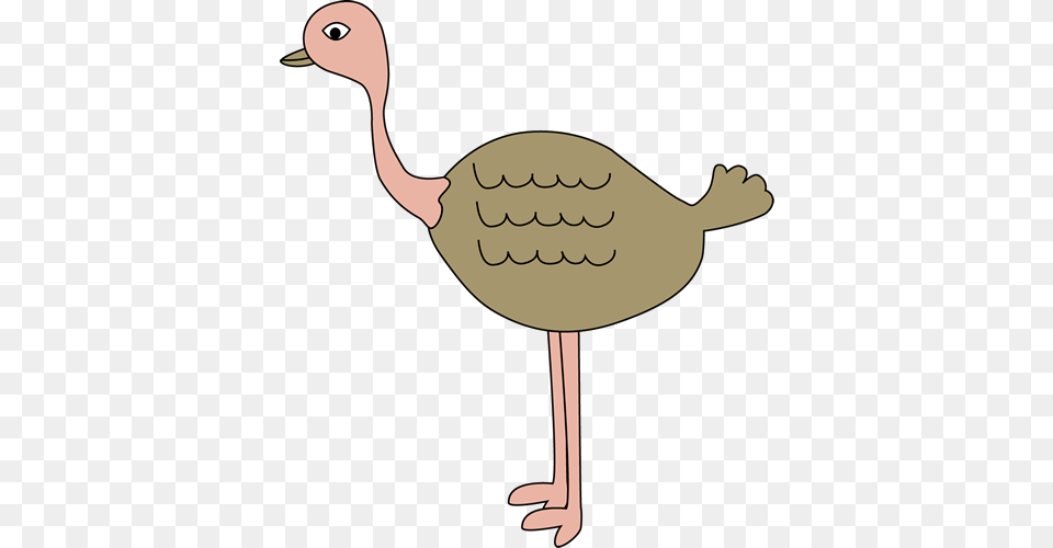 Ostrich Clip Art My Cute Graphics Ostrich, Animal, Bird, Kangaroo, Mammal Png Image