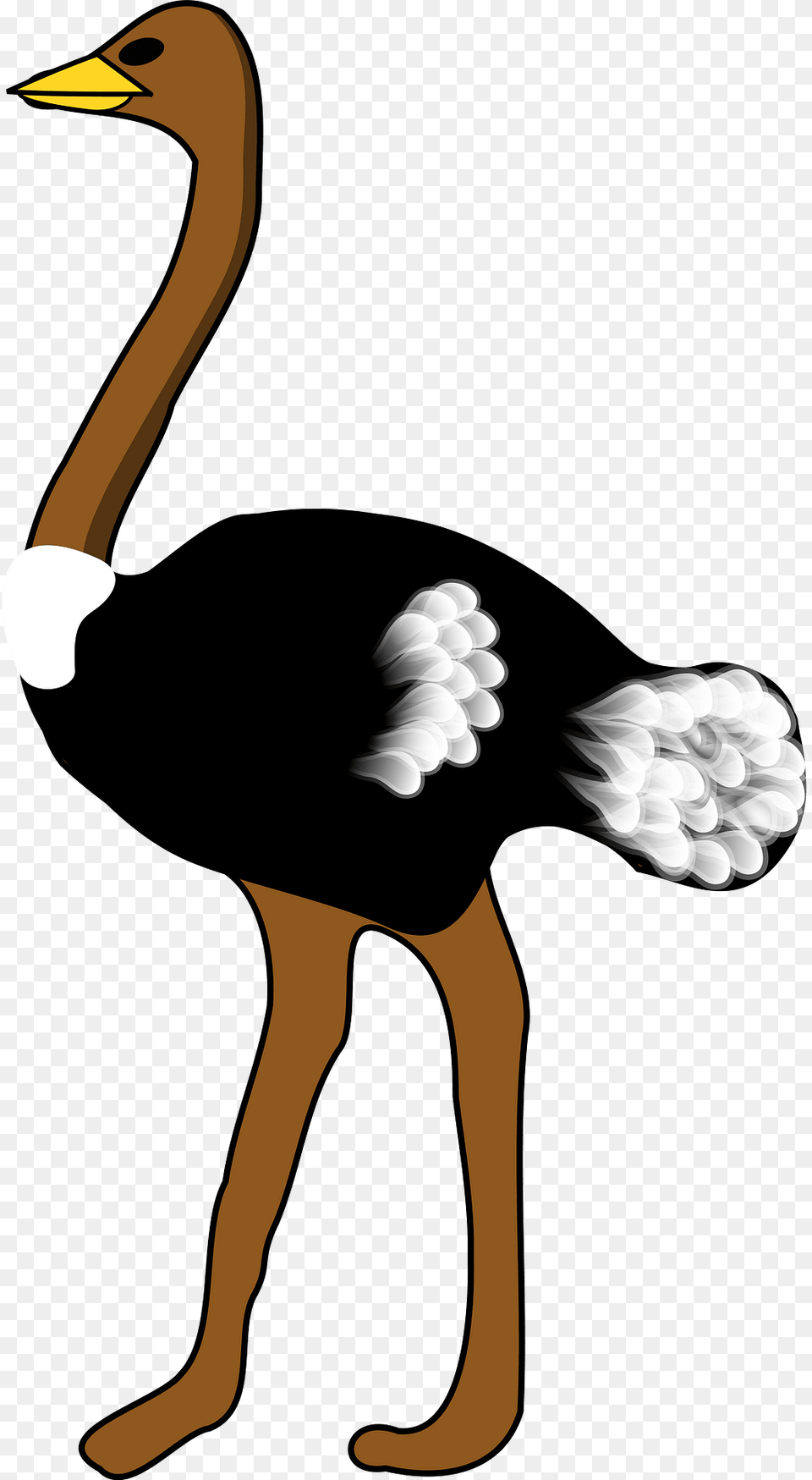 Ostrich Clipart, Animal, Beak, Bird, Person Free Png