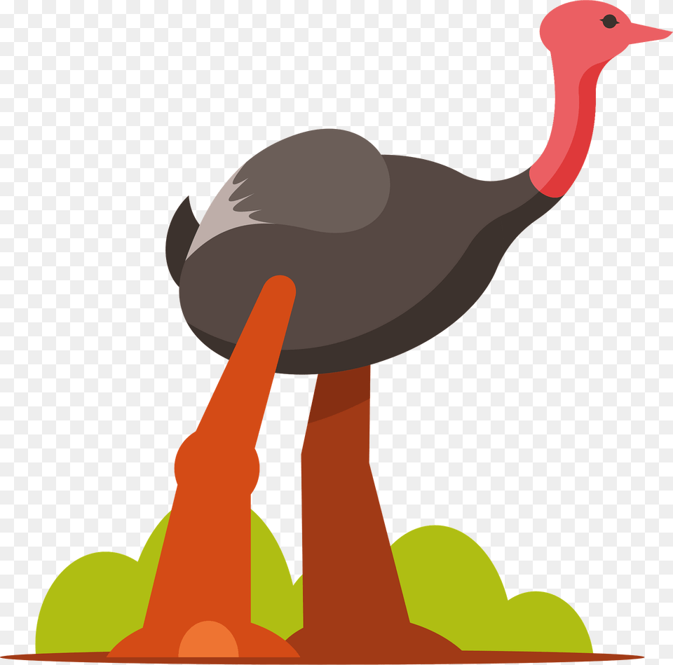 Ostrich Clipart, Animal, Beak, Bird Free Transparent Png