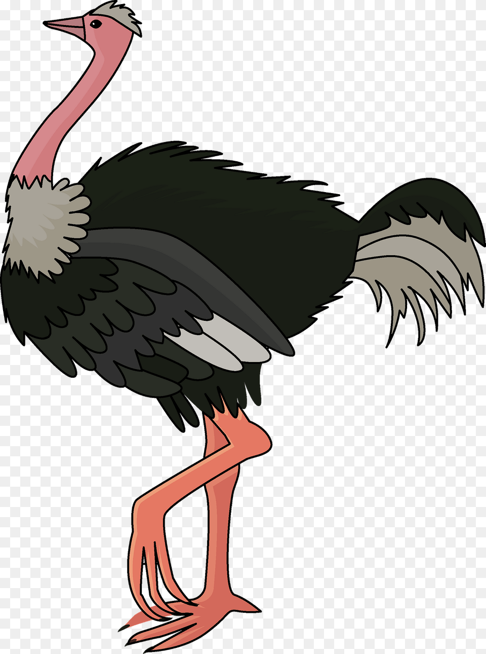 Ostrich Clipart, Animal, Bird, Beak, Fish Free Transparent Png