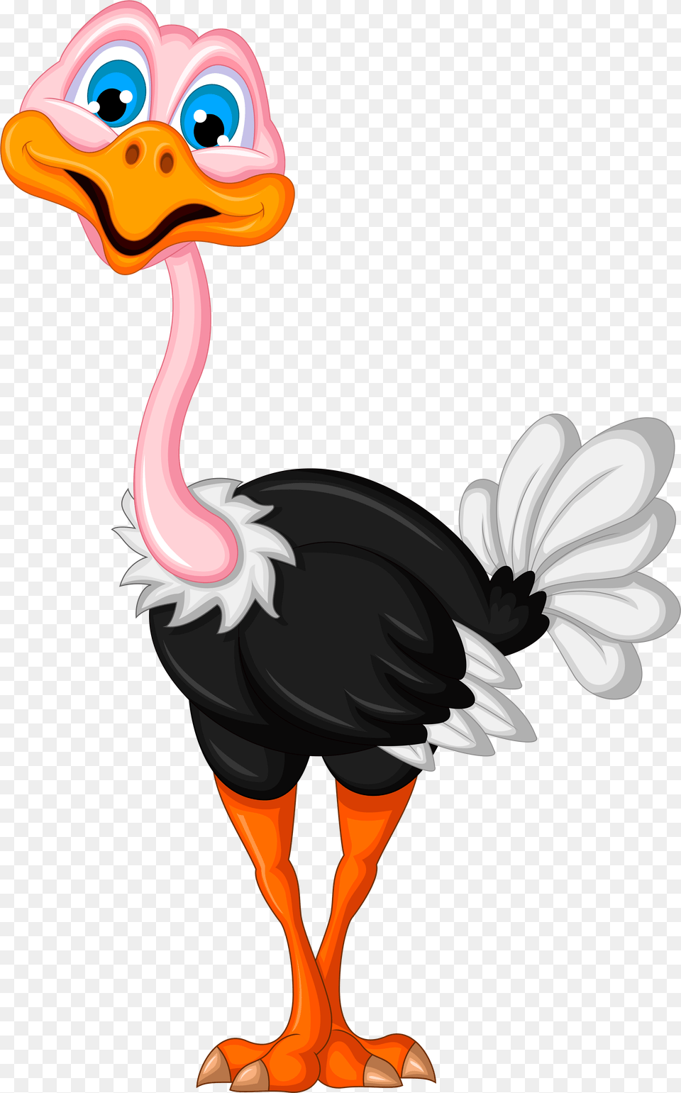 Ostrich Clipart, Animal, Beak, Bird Free Png