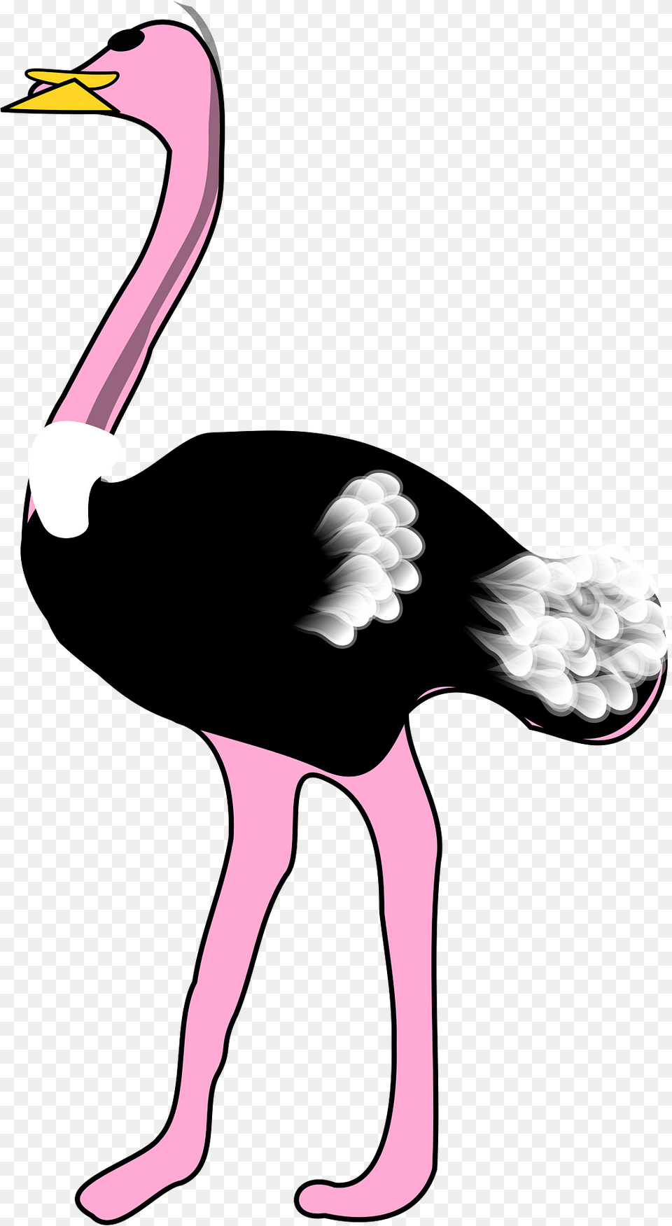 Ostrich Clipart, Animal, Bird, Beak, Person Free Png Download