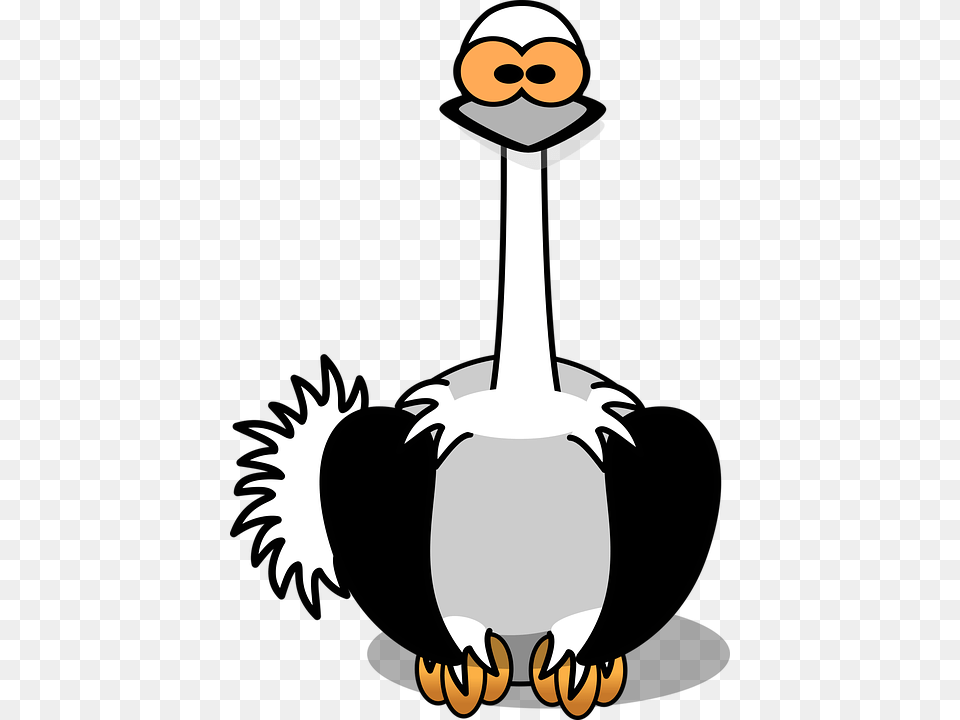 Ostrich Clipart African Bird, Person, Animal Free Png Download