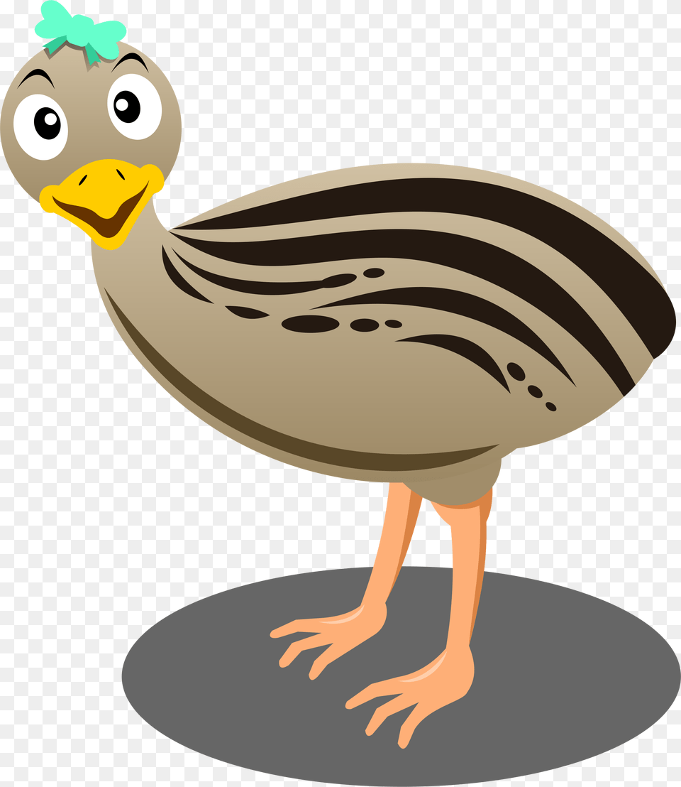Ostrich Clipart Cartoon Emu Cartoon Animal, Bird, Beak, Mammal Free Transparent Png