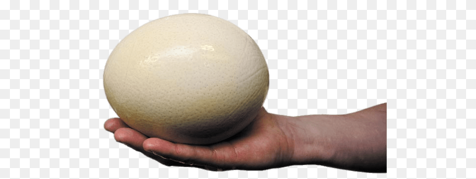 Ostrich Egg, Sphere, Body Part, Finger, Hand Png Image