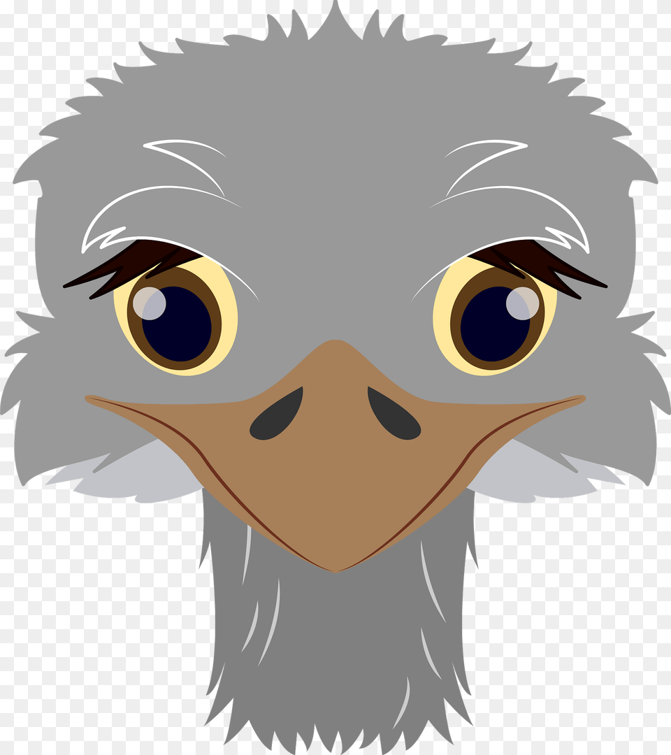 Ostrich Face Clipart, Animal, Beak, Bird, Eagle Free Png
