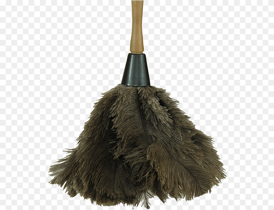 Ostrich Feather Dusters Feather Duster, Broom, Animal, Bird Free Transparent Png