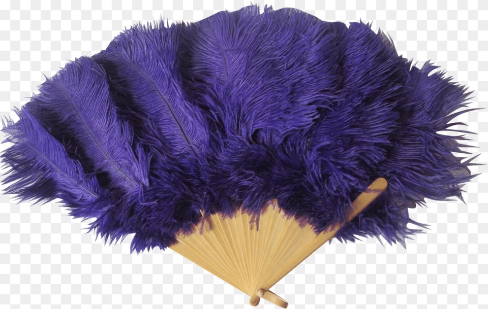 Ostrich Feather Purple Ostrich Feather Fan Vintage Common Ostrich, Animal, Bird Png Image