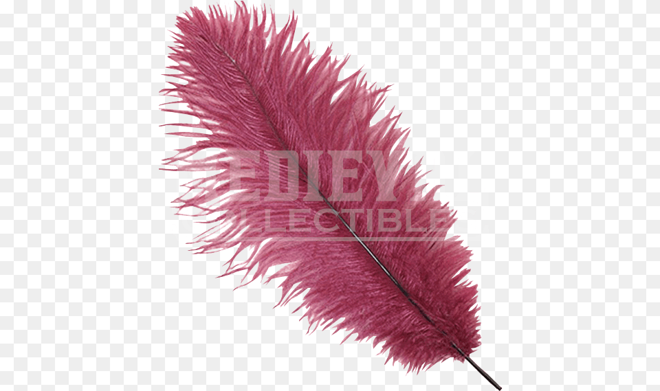 Ostrich Feathers Burgundy Feathers, Accessories, Bottle, Person Free Png Download