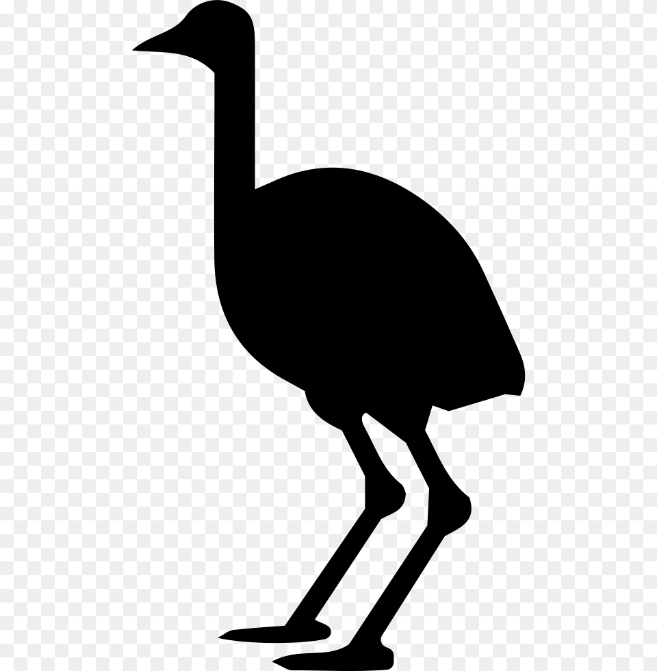 Ostrich Icon Download, Silhouette, Animal, Bird, Waterfowl Free Png