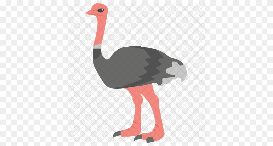 Ostrich Icon Ostrich, Animal, Beak, Bird Png Image