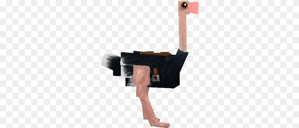 Ostrich Nova Skin Assault Rifle, Animal, Bird, Person Free Png