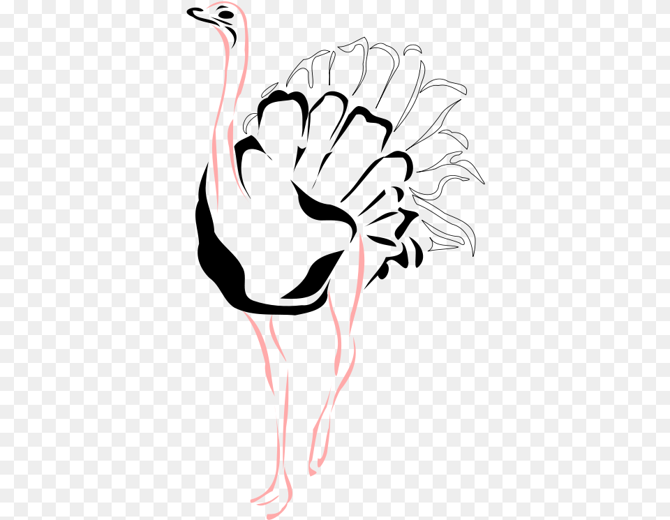 Ostrich Ostrich Draqing, Stencil, Silhouette Free Transparent Png