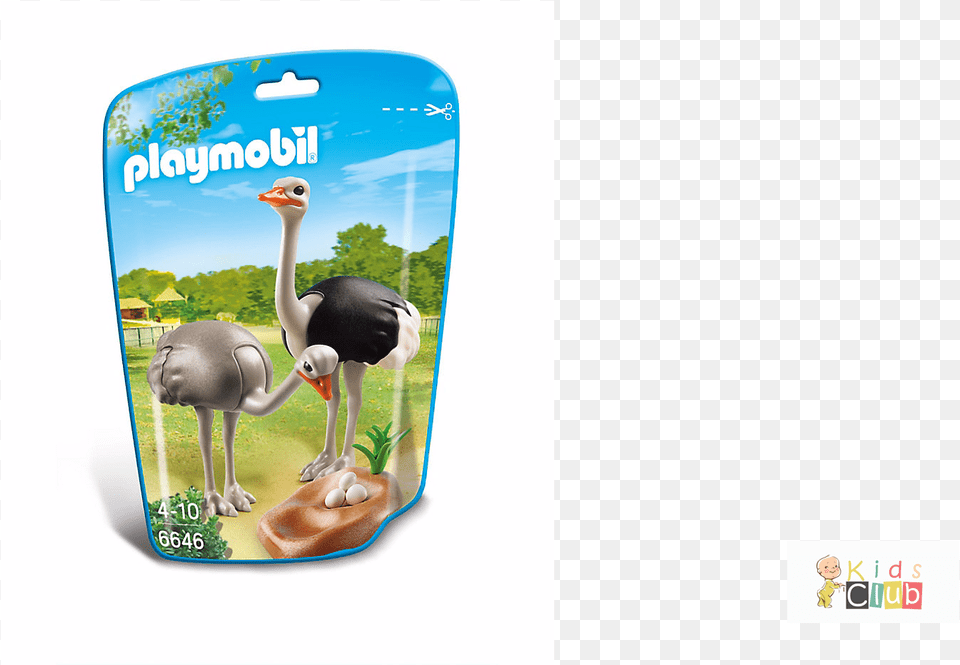 Ostrich Playmobil Autruche, Animal, Beak, Bird, Person Free Png