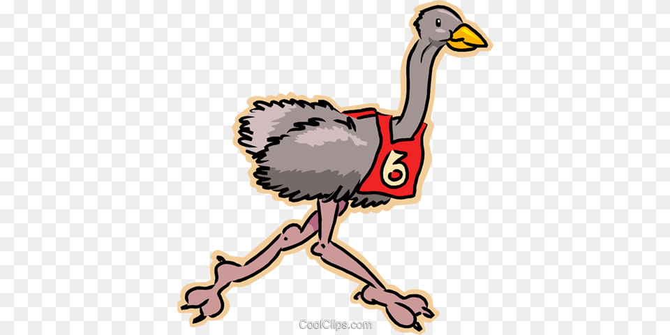 Ostrich Running Race Royalty Free Vector Clip Art Illustration, Animal, Beak, Bird, Baby Png