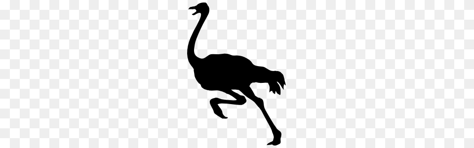 Ostrich Running Sticker, Animal, Bird, Kangaroo, Mammal Free Png